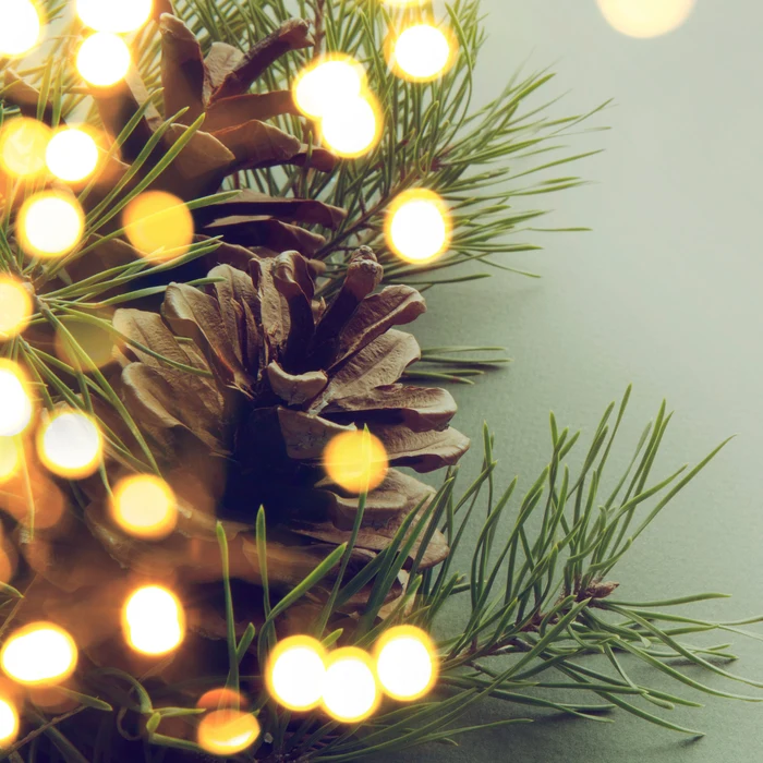 pâtisserie artisanale bûches de noel melle niort